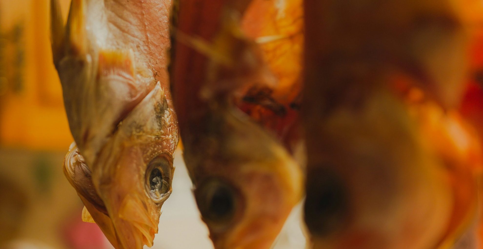 chelaxy-designs-rPD__yZGEfI-unsplash